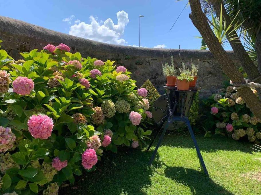 Apartamento Con Jardin Santander Dış mekan fotoğraf