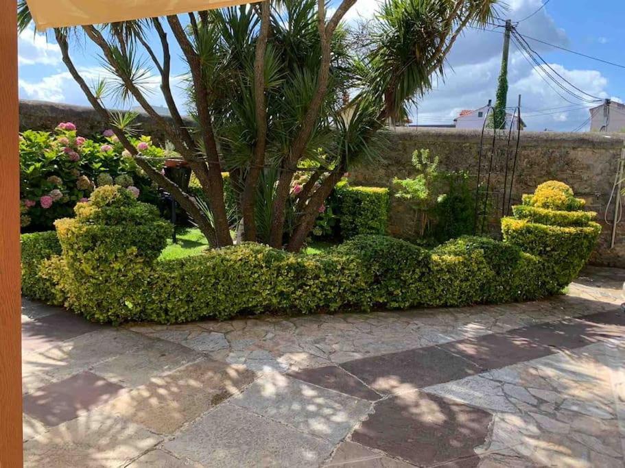 Apartamento Con Jardin Santander Dış mekan fotoğraf